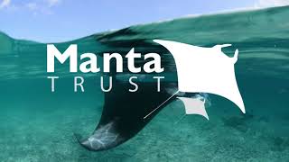 Introducing the Manta Trust