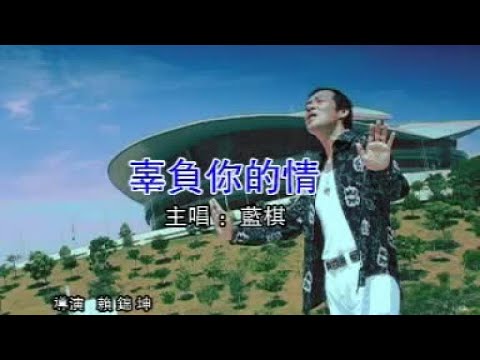 蓝棋 - 辜负你的情【歌词】
