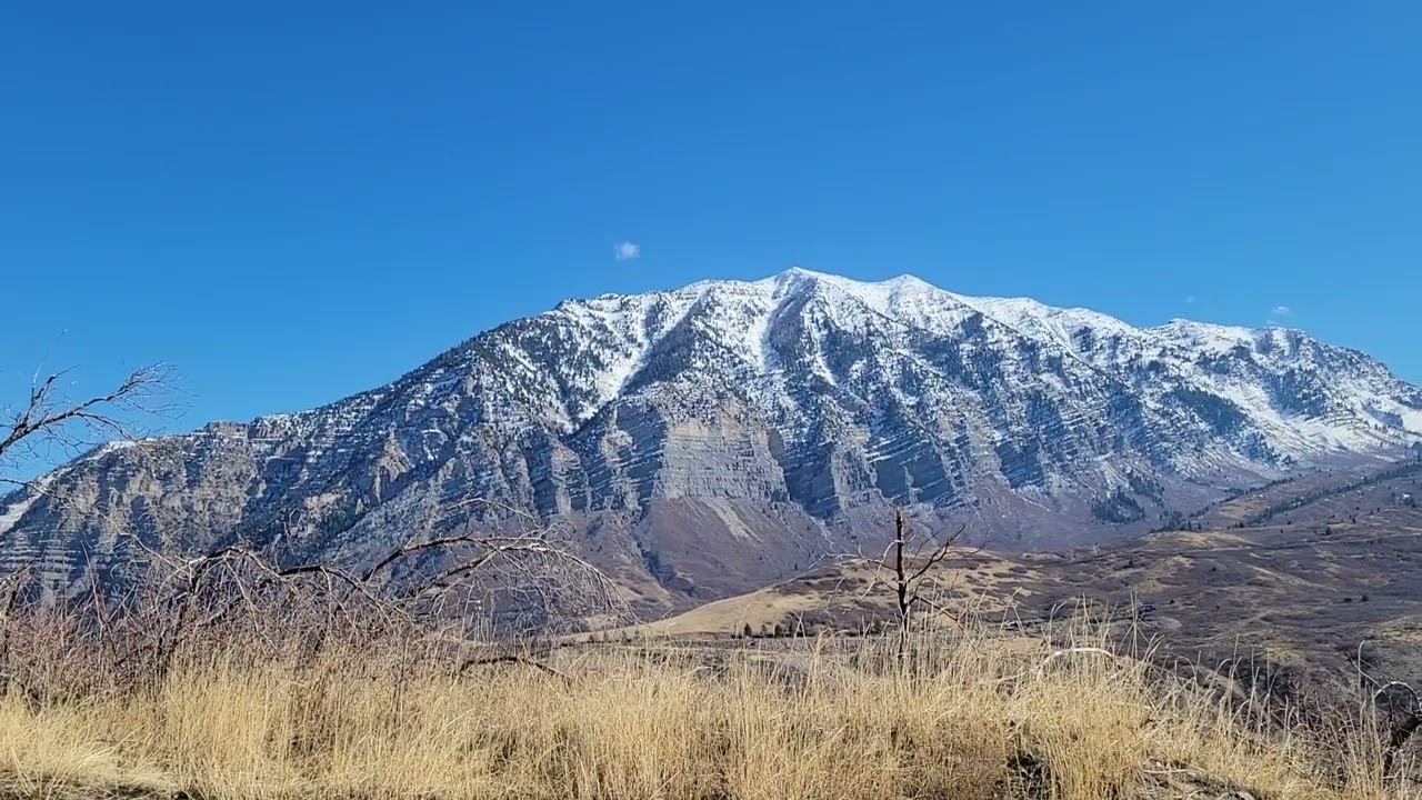 We Are Doomed Without Team Fairness. Everyone is Invited.