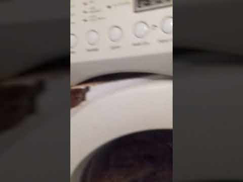 المعنى الحرفي للكفاح الى آخر رمق