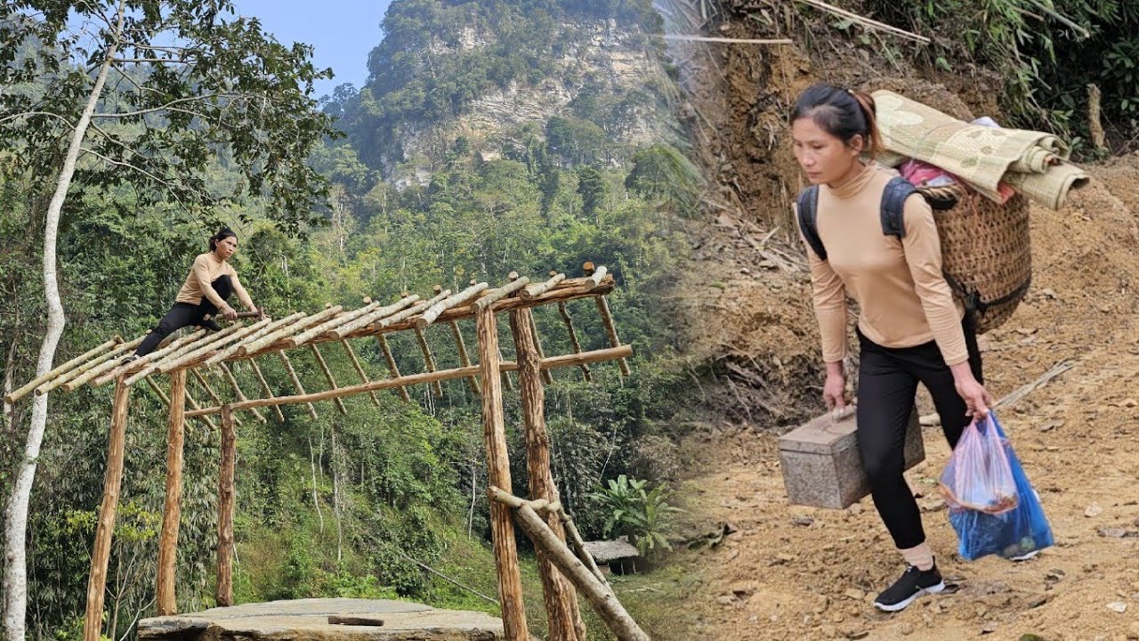 A Secretary Leaves the City for the Mountains to Build a Small Shelter and Start a Life Alone