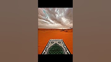 #quran #تلاوة_قرآن #القرآن_الكريم #خشوع #تلاوة_مؤثرة #تلاوة_خاشعة #qurandaily #qurankareem