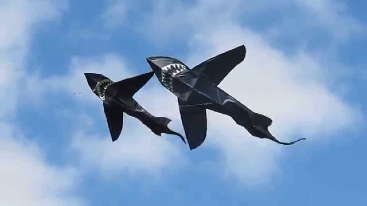 Shark Kite 4ft. 6ft YouTube