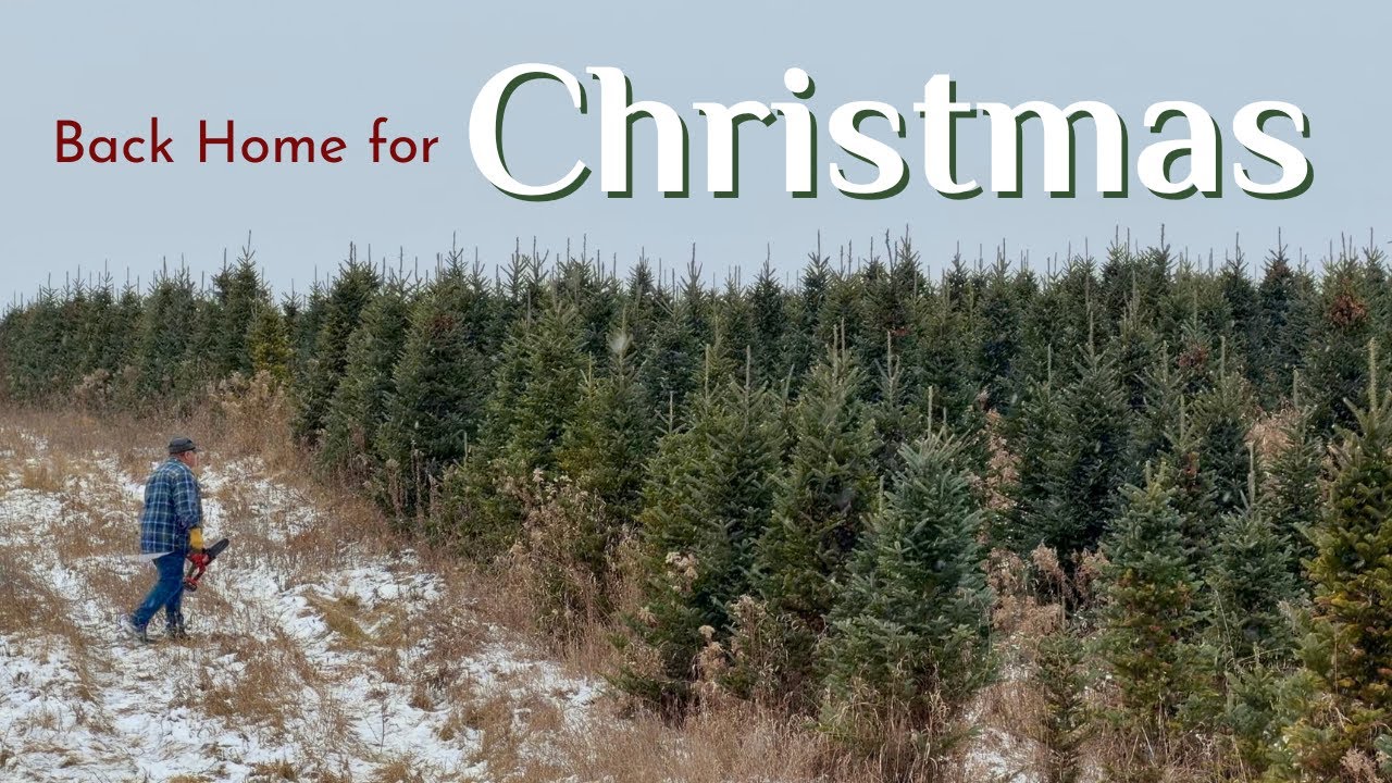 Уютное Рождество дома, в Висконсине | Медленные зимние дни | Из Турции в США на праздники