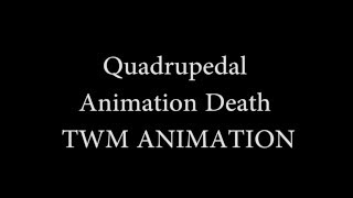 Death Animation
