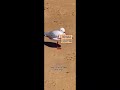 Sad seagull