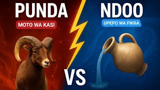 Punda Vs Ndoo Siri Za Mapenzi, Changamoto Na Nguvu Ya Nyota