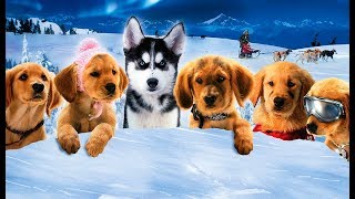 Snow Buddies Cachorros En La Nieve Trailer Español Latino