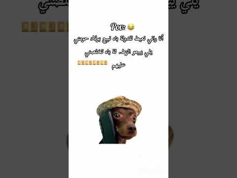 خبيط موني كاش اكسبلور تحشيش الجزائر ضحك كوميديات دويتو تحشي تيك توك Funny ترند 
