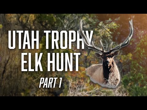 Utah Trophy Elk Hunt - Part One