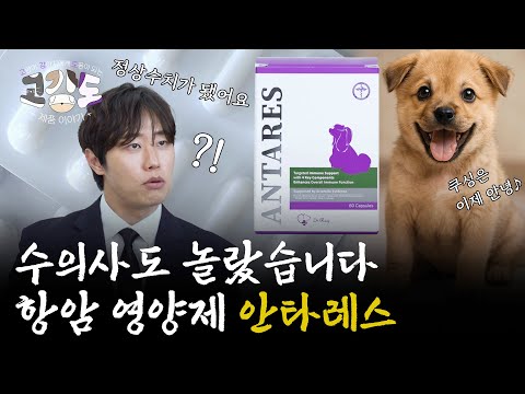 반려동물을 위해 자연에서 추출했습니다 한방 성분의 항암 영양제 [🐈고강도 제품 리뷰🐕 Ep.7 종양 영양제 <strong>안타레스</strong>]