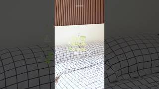 life update…living alone again 🍃🍥#lifevlog #aestheticvideo #livingalonediaries