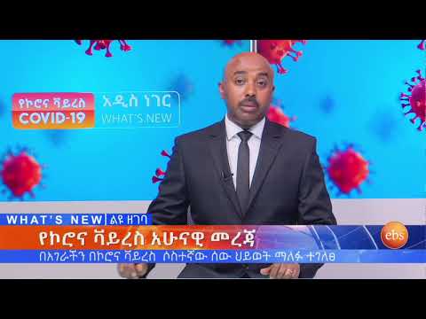 ቪዲዮ: የኢቢስ የበረራ ትክክለኛነት ተመራማሪዎችን ያደናቅፋል