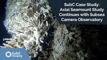 SubC Case Study: Axial Seamount Study Continues with Subsea Camera Observatory