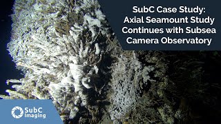 Subc Case Study Axial Seamount Study Continues With Subsea Camera Observatory