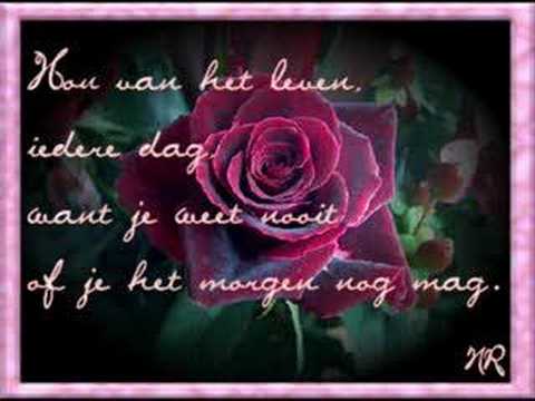 bloemen wijsheden wijze woorden youtube bloemen wijsheden wijze woorden youtube