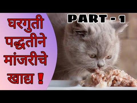 घरगुती पद्धतीने मांजरीचे खाद्य ! Home made cat food in Marathi #catfood #homemadecatfood