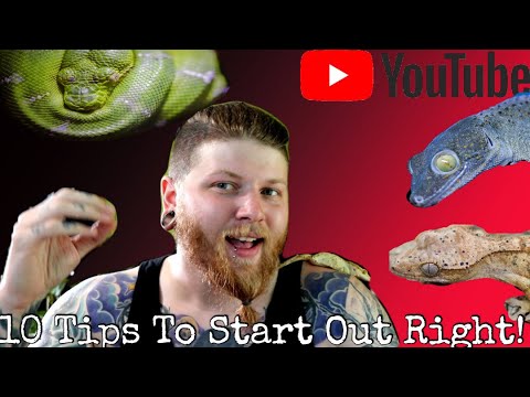 How To Start