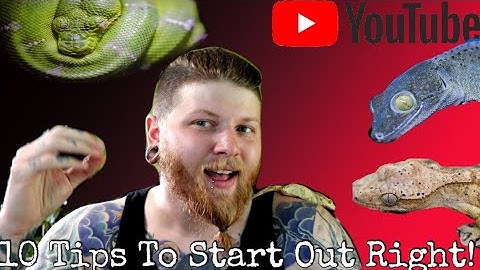 How To Start A Reptile YouTube Channel The RIGHT Way