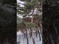 Snow Moment | Persistence and Memory