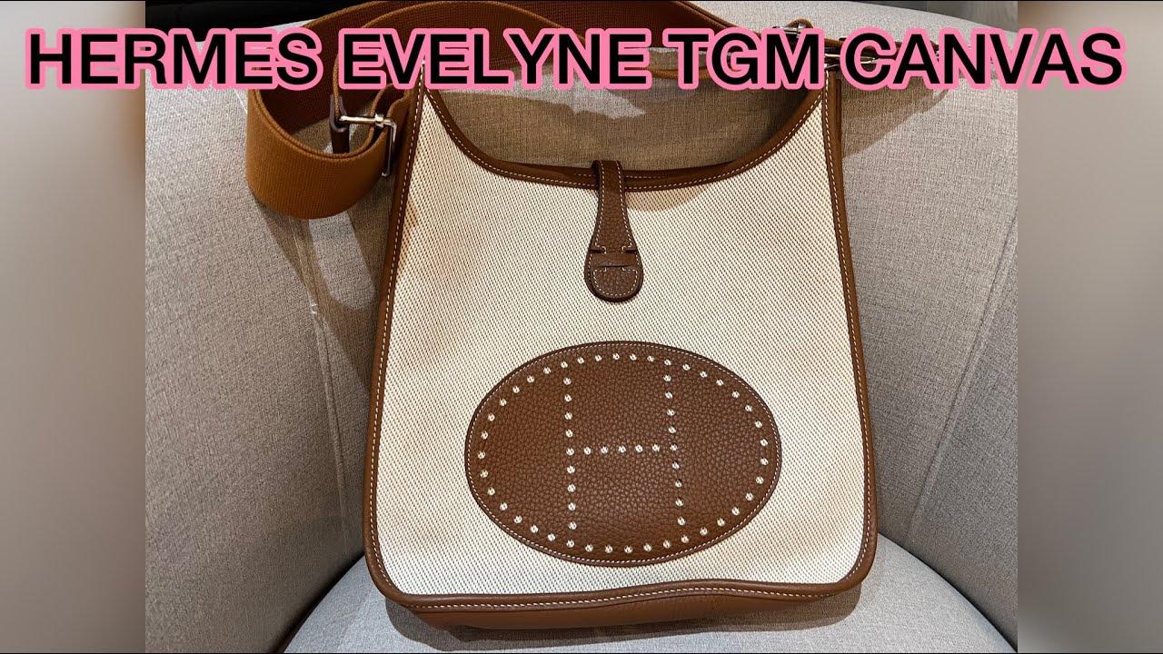 what fits inside my HERMES EVELYNE TGM in CANVAS?! 