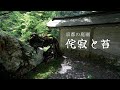 京都 侘寂と苔 :KYOTO WABI-SABI AND MOSS GARDENS