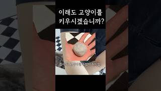 털갈이 시즌 On