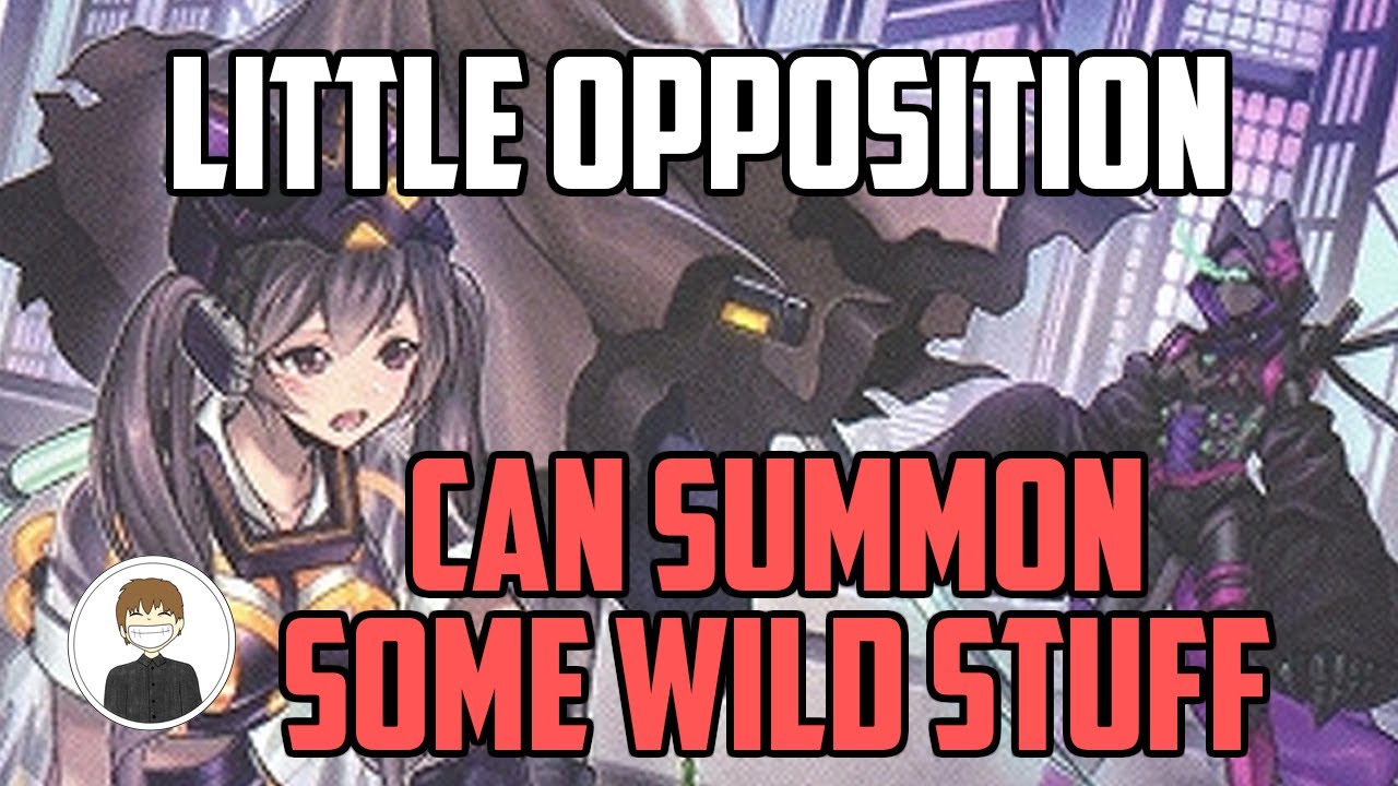 *BEST* LITTLE OPPOSITION TARGETS in Yu-Gi-Oh!
