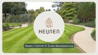 Erste Bewässerung Nach Dem Rollrasen Verlegen Schritt Für Schritt Anleitung