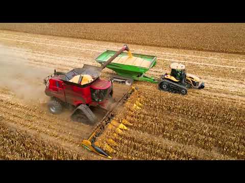 Capa de Direct Harvest Seed Corn Picking