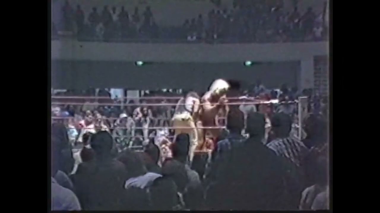 HIGHLIGHTS OF RON FULLER VS. RIC FLAIR W/BOB ARMSTRONG SPECIAL REFEREE