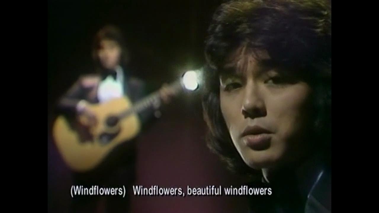 洋楽 Windflower Windflowers - YouTube