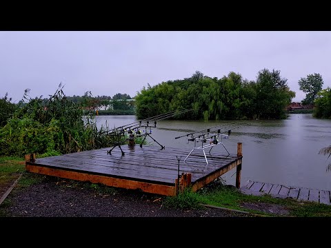 Nagykállói Horgásztanya - Best Fishing Ever !!! 4k