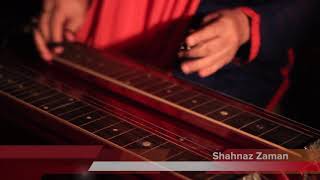 Dil Mein Ek Lehar (Ghulam Ali Ghazal) Shahnaz Zaman Hawaiian Guitar Cover