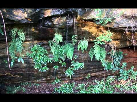سورة طه الشيخ ناصر الغامدي