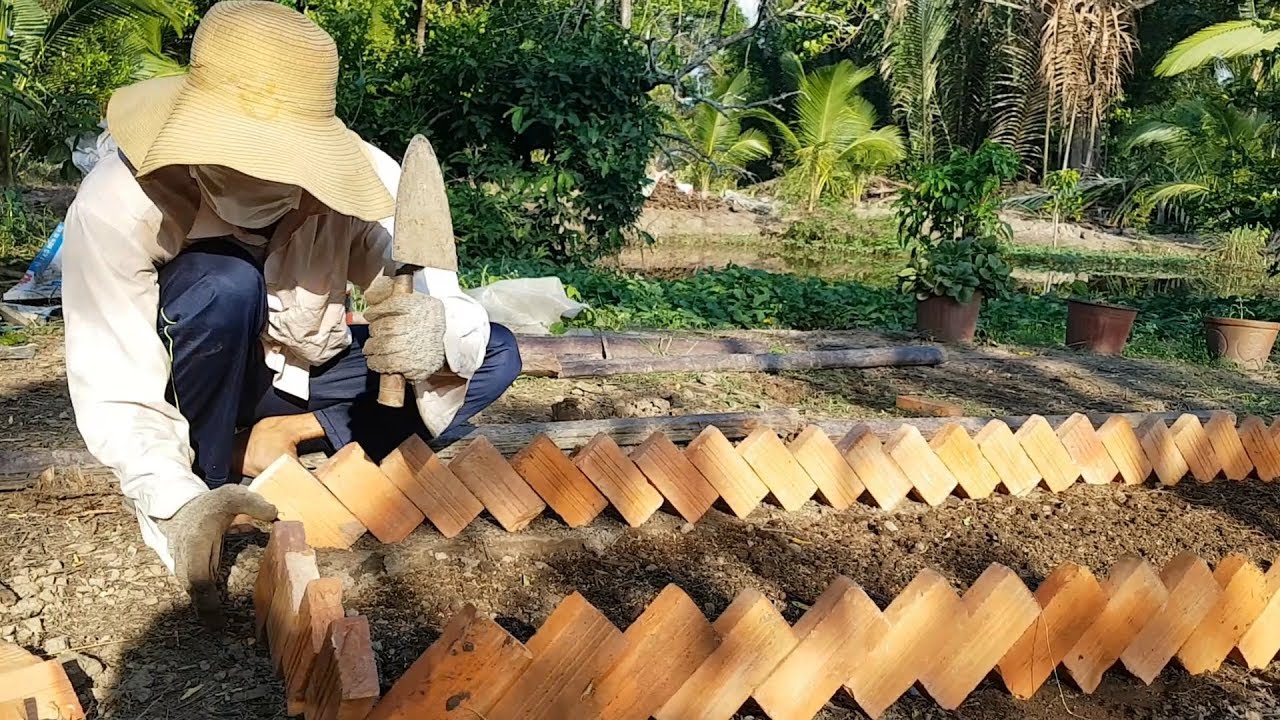 Trang trí cho vườn rau bằng gạch để trồng rau sạch |... - youtube