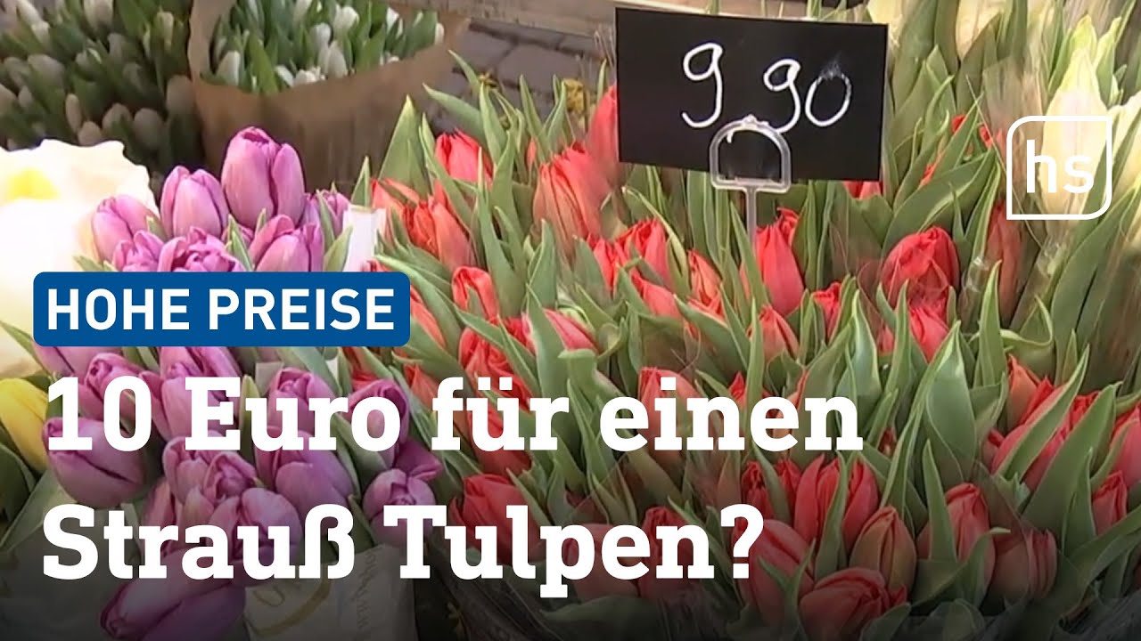 Extrem hohe Tulpenpreise wegen schlechter Ernte | hessenschau