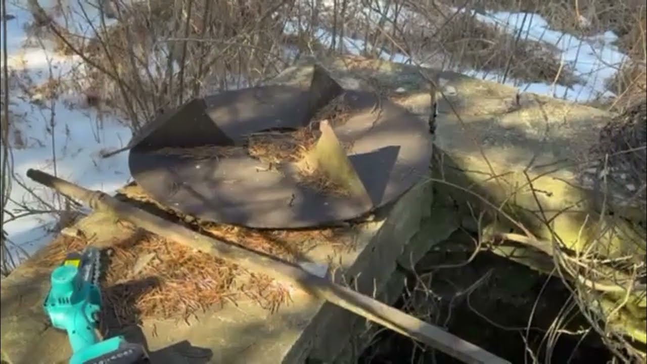 I bought some property and found a few surprises while exploring!