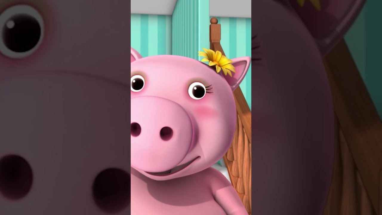 This Little Piggy 🐷🐽 #LBB #Short #pigsong