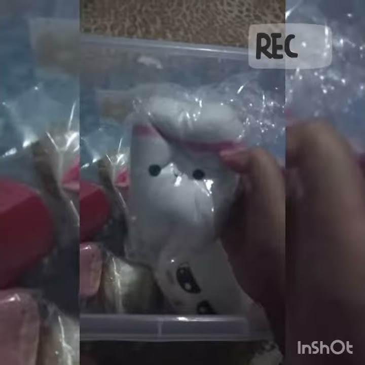 Squishy qolection