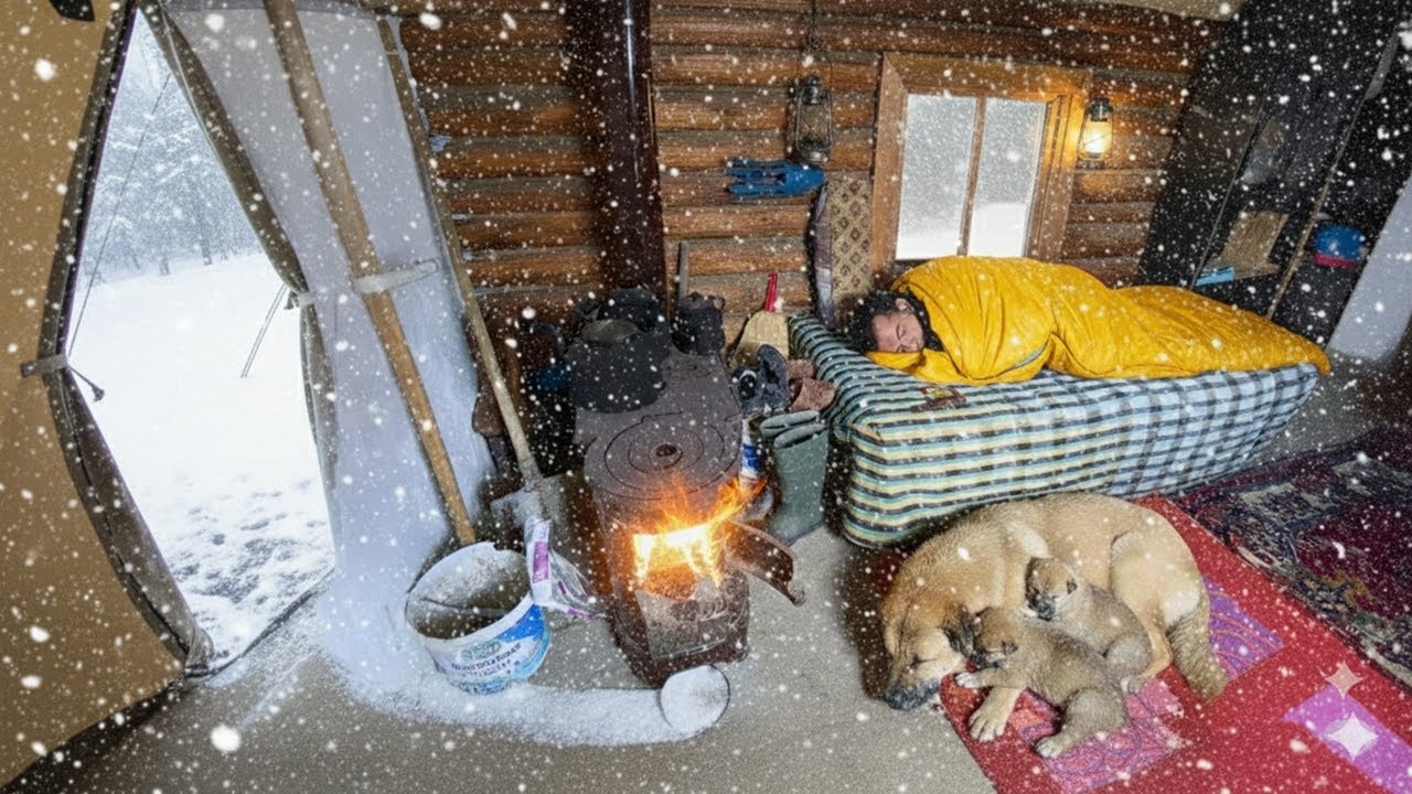 Surviving DEATH at -45°C! Survived the Wild in My Off Grid Alaskan Log Cabin Winter Life Alone