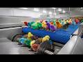 Chicken Mega Factory: Egg Incubation & Broiler Raising Process (Full Process)