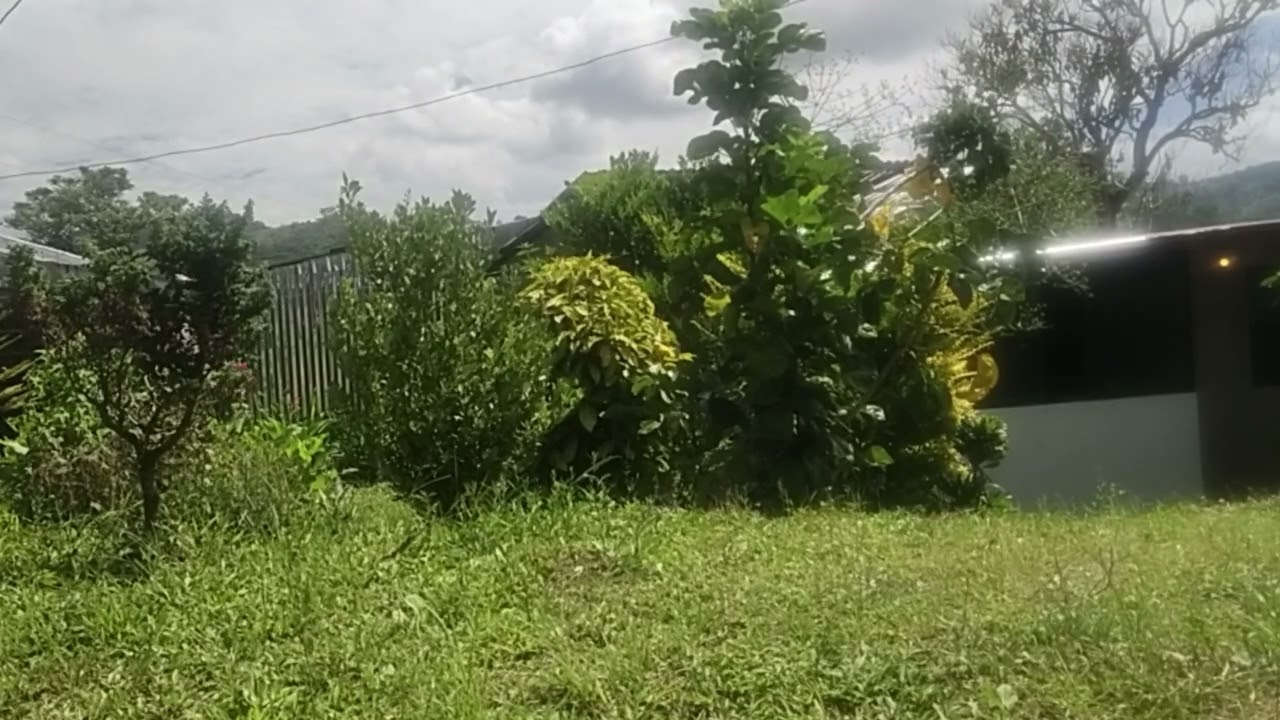 Mars Buracho | Gospel & Nature