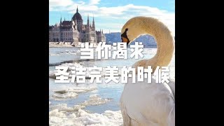 201801 当你渴求圣洁完美的时候23114