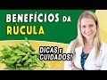 Como Plantar Rúcula em Casa – Passo a Passo e Cuidados