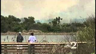 Brush Fire In Brevard Co. Grows