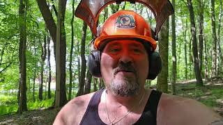 Season 7 Episode 39 Unique Tree's Awsome!