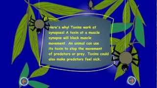 Brainu Video Toxins And Synapses