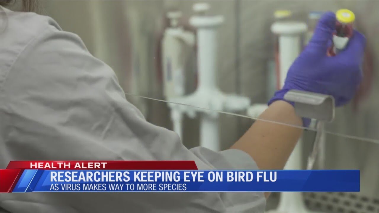 Researchers keeping eye on Bird Flu