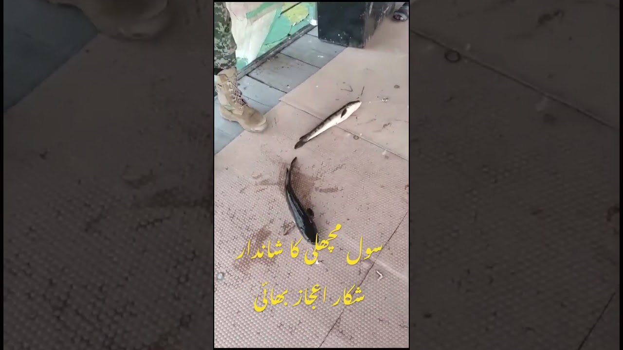 Best fishing point near Lahore